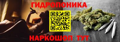 шишки Чебоксары