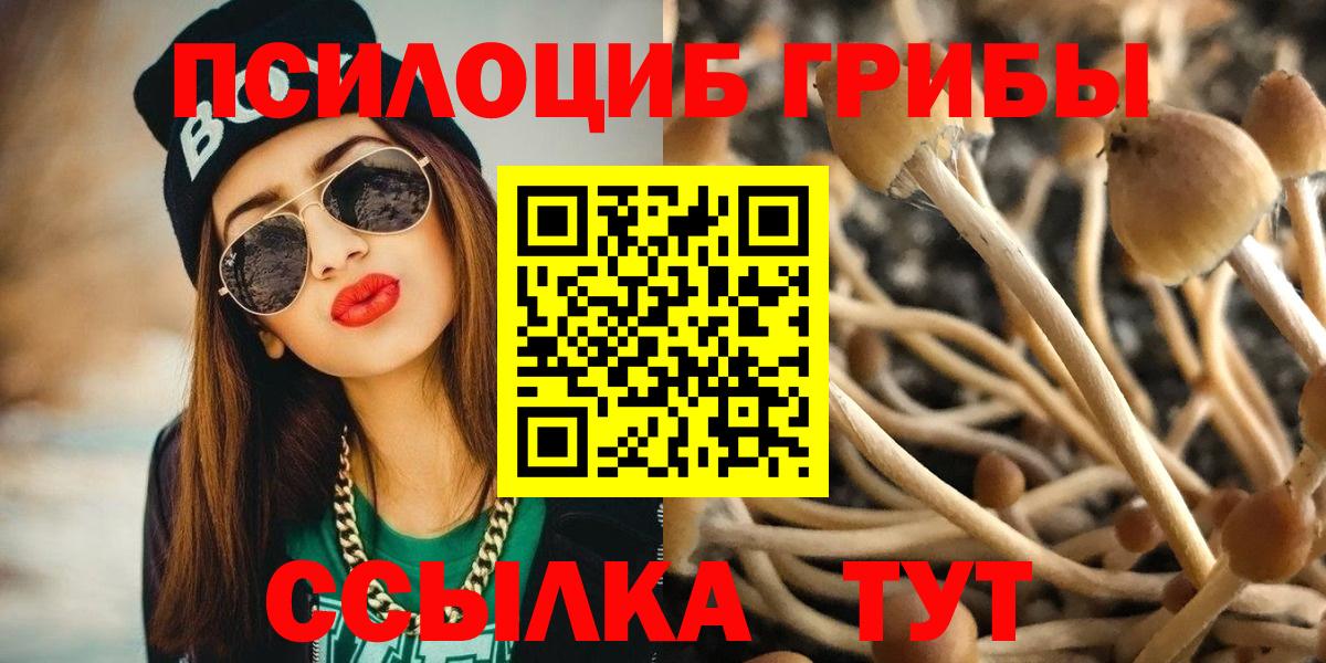 Галлюциногенные грибы Psilocybine cubensis Борисоглебск